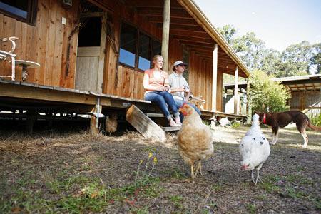 Lovedale Cottages Hunter Valley Eksteriør billede