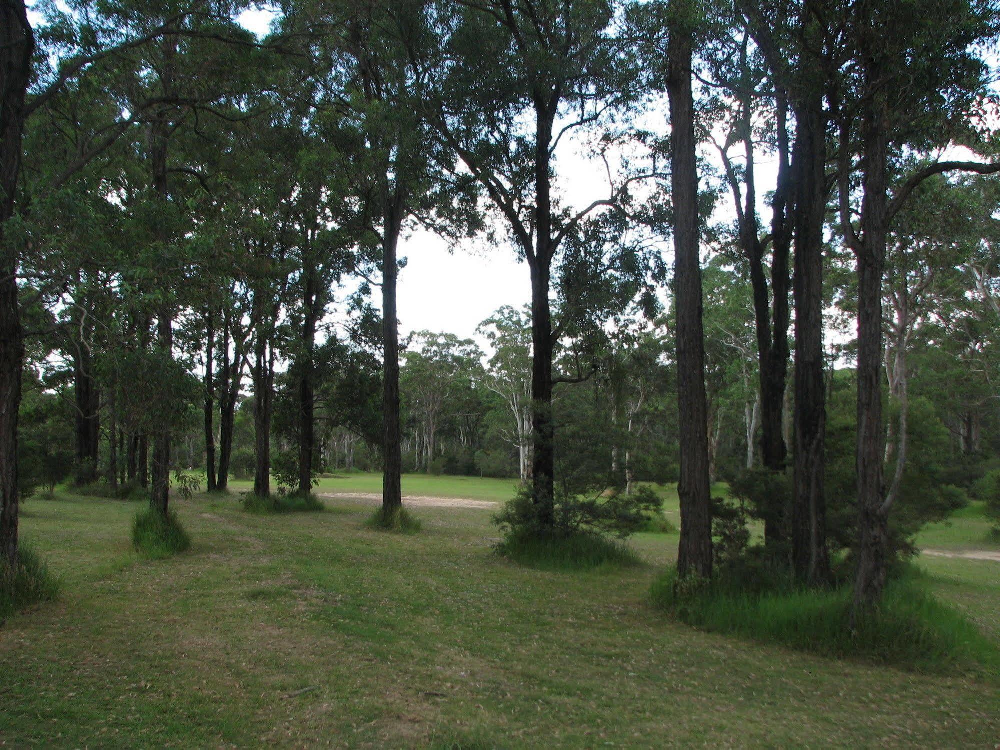 Lovedale Cottages Hunter Valley Eksteriør billede