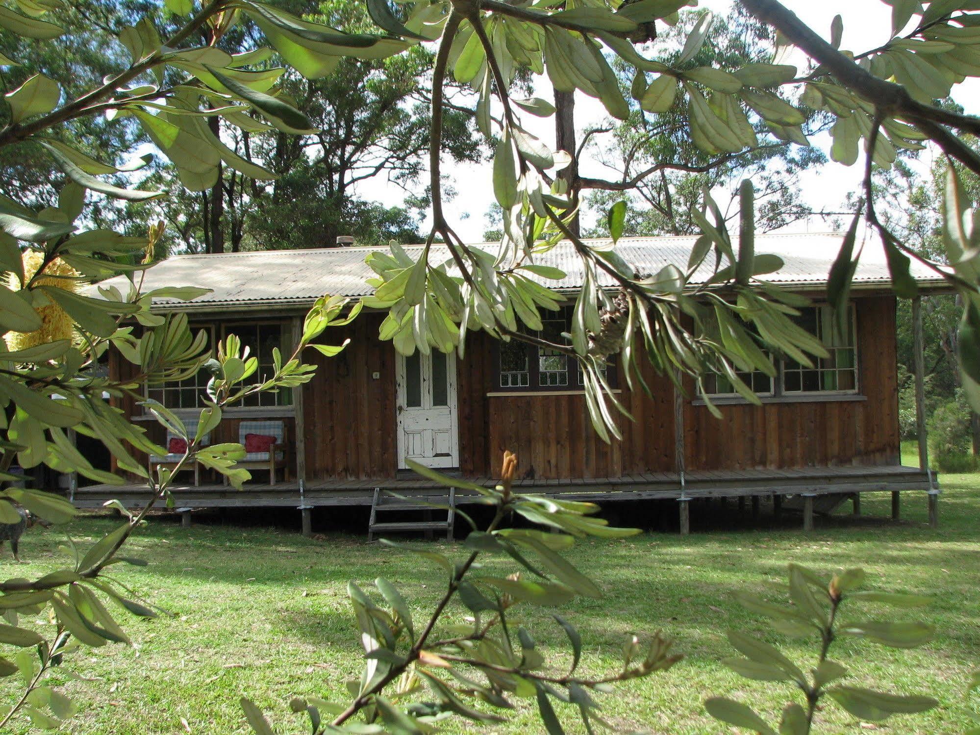 Lovedale Cottages Hunter Valley Eksteriør billede